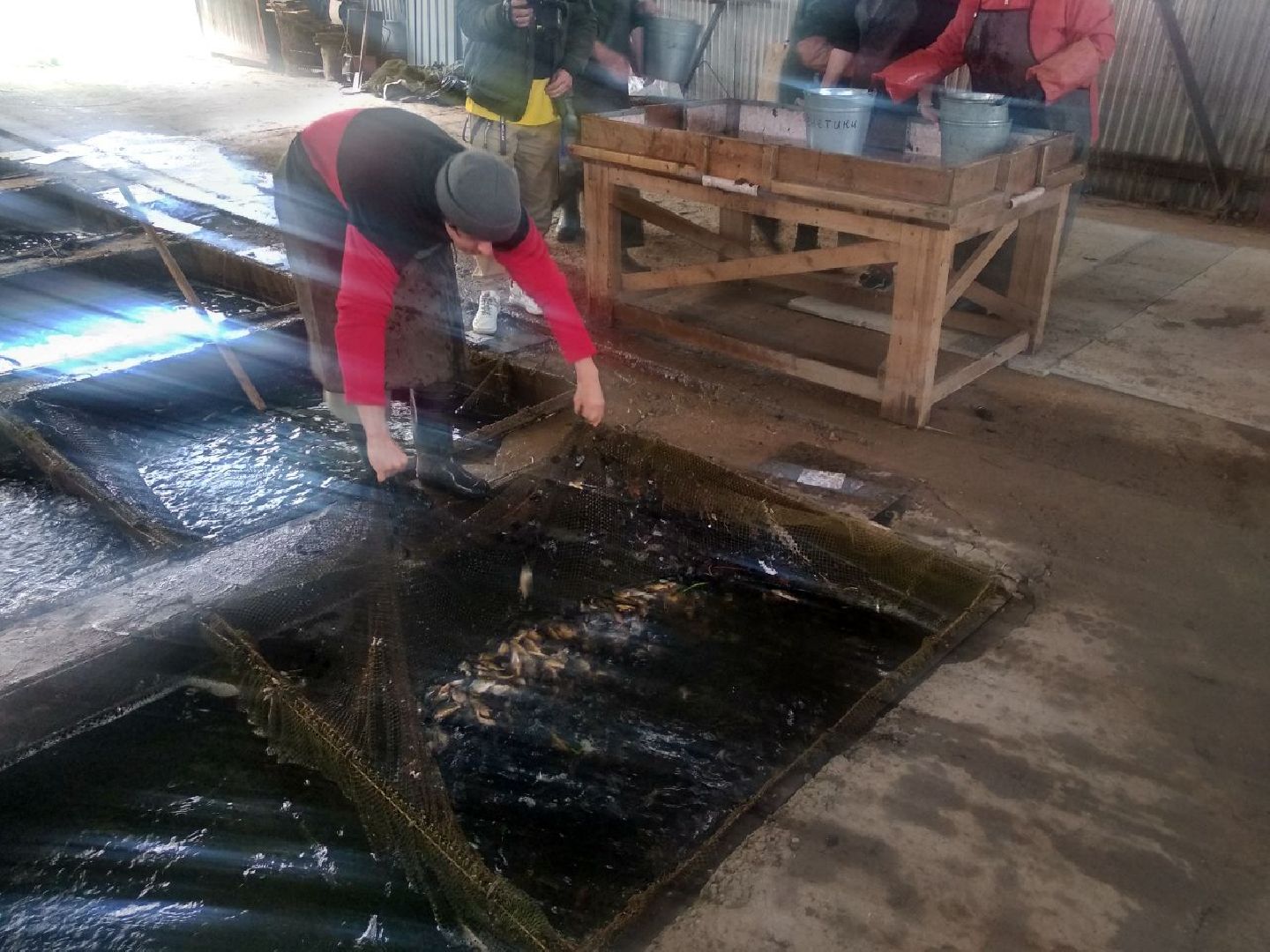 Дмитров, ВНИРО, ВНИИПРХ, Росрыболовство МО