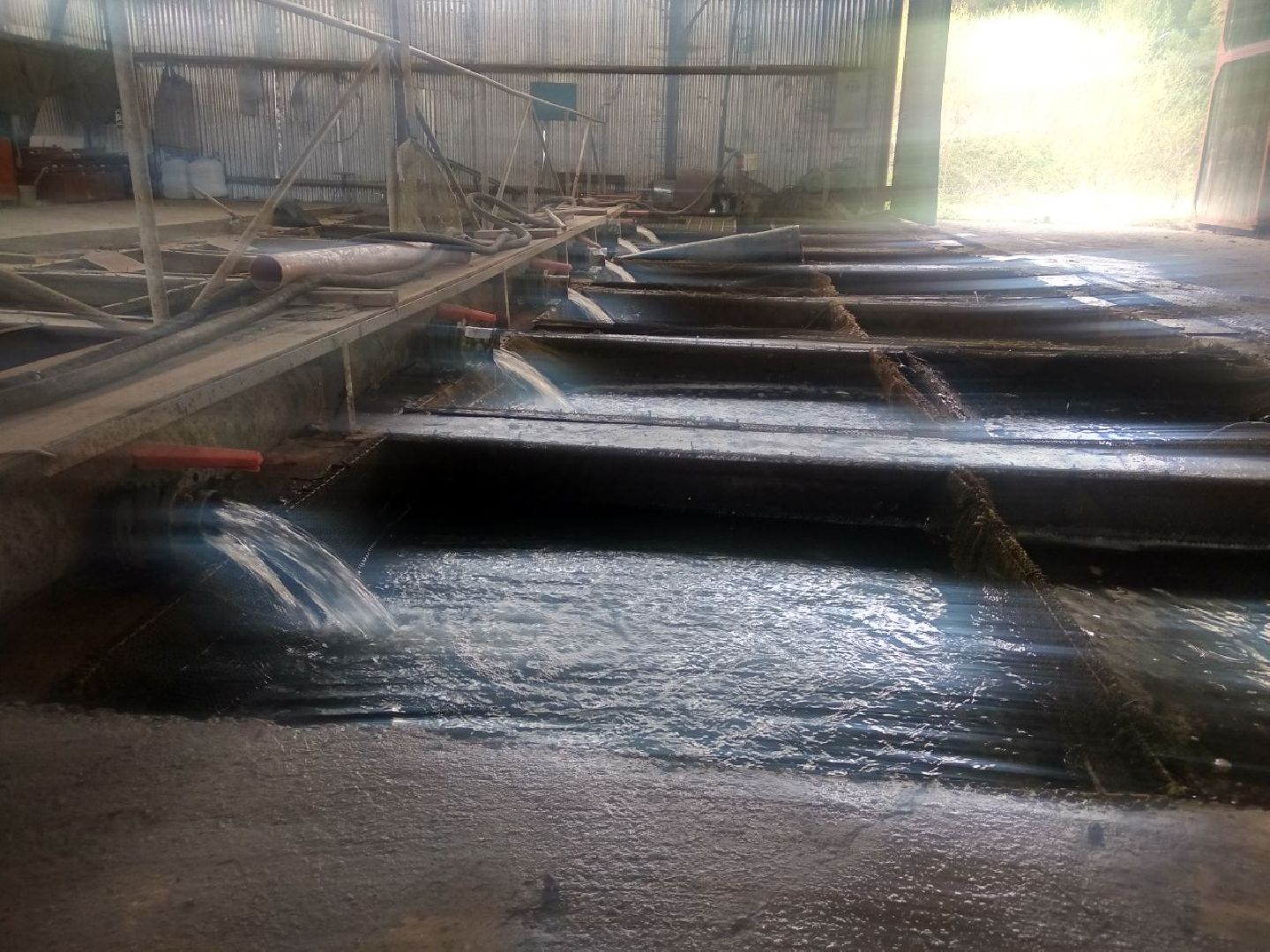 Дмитров, ВНИРО, ВНИИПРХ, Росрыболовство МО