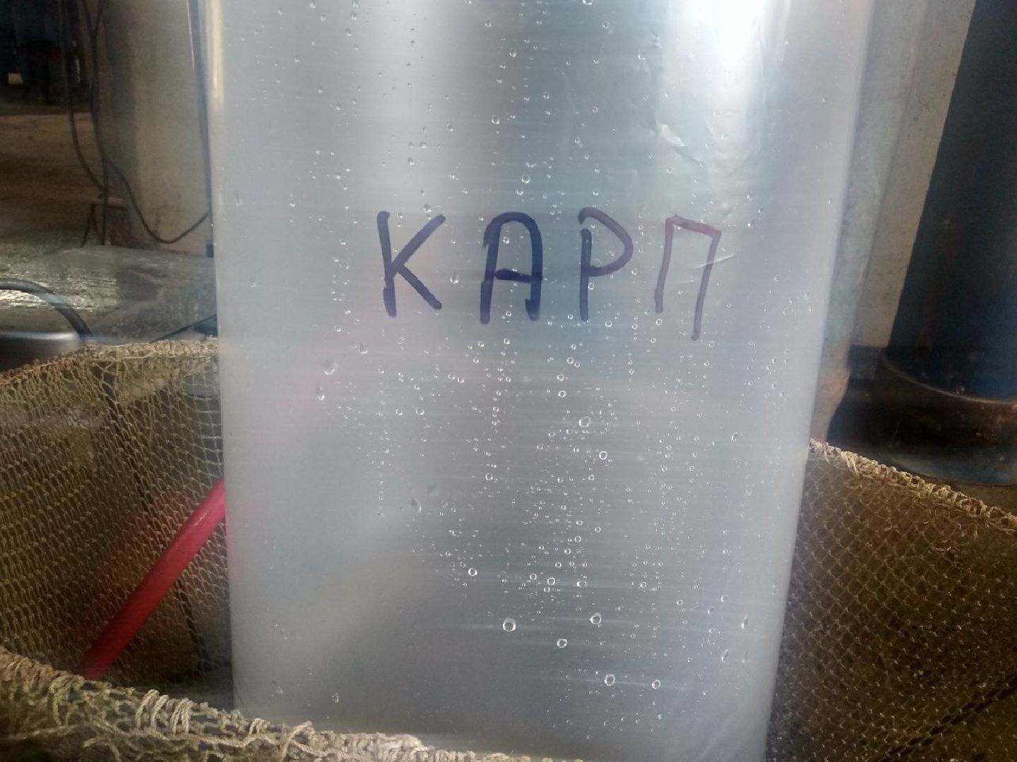 Дмитров, ВНИРО, ВНИИПРХ, Росрыболовство МО