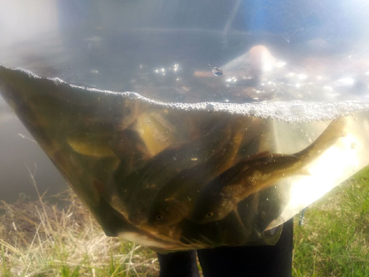 Дмитров, ВНИРО, ВНИИПРХ, Росрыболовство МО