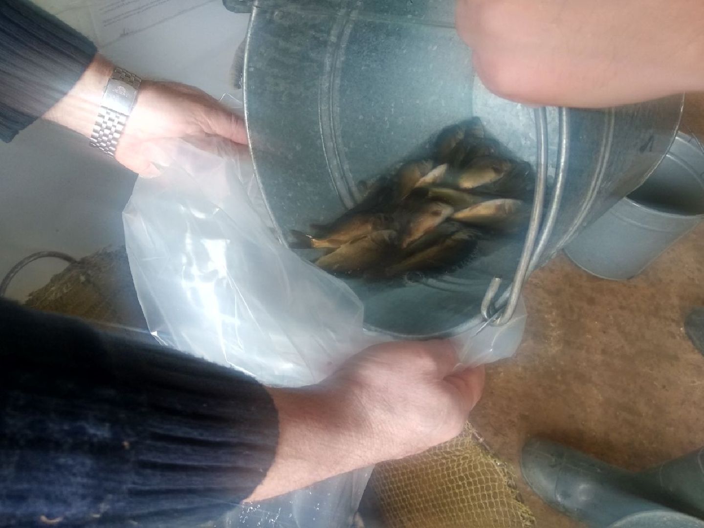 Дмитров, ВНИРО, ВНИИПРХ, Росрыболовство МО