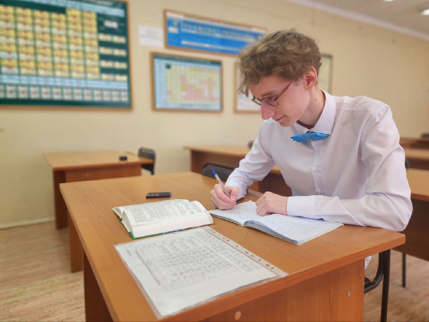 воскресенск, образование, егэ, стобалльники,