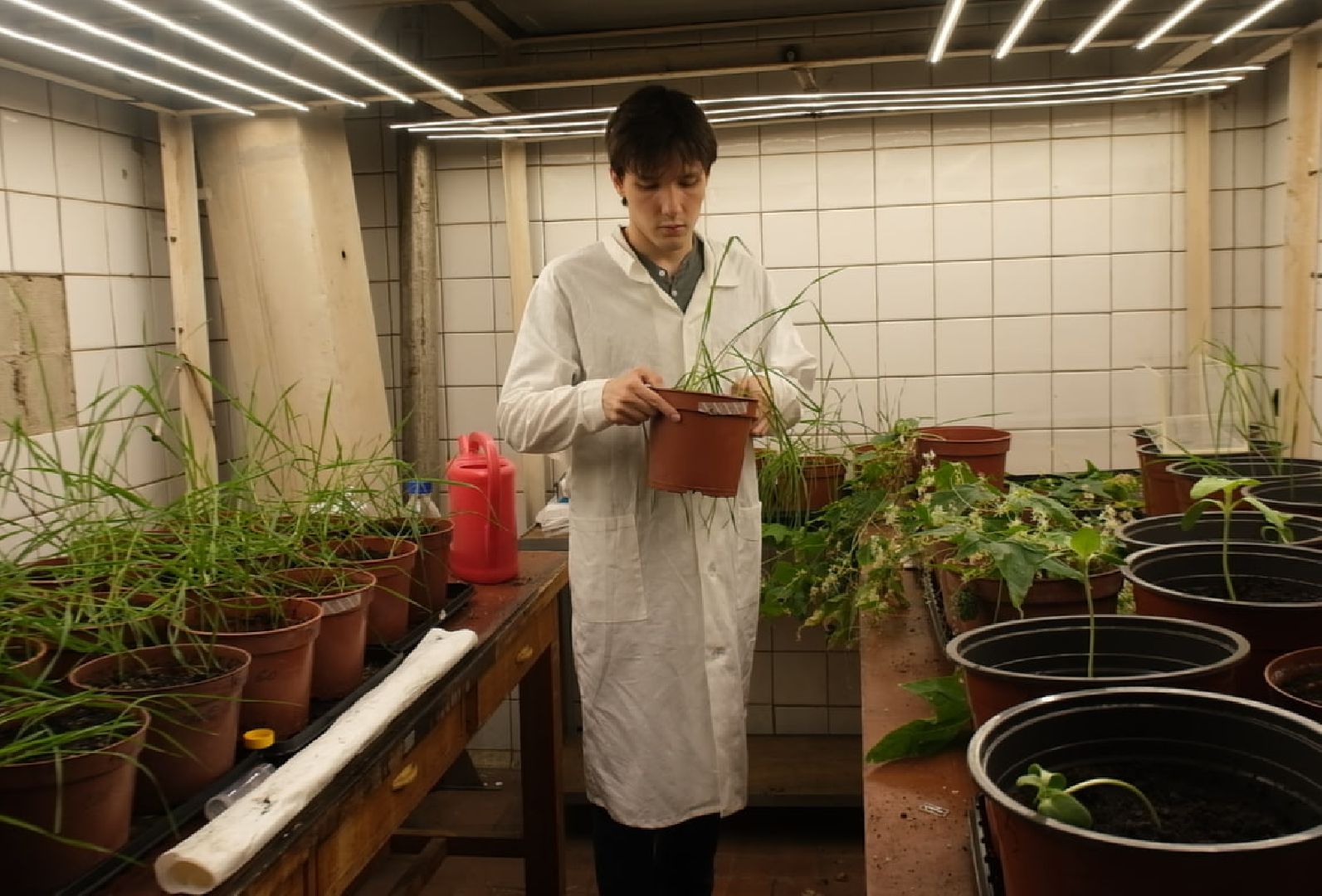 пущино, серпухов, наука, ученые,