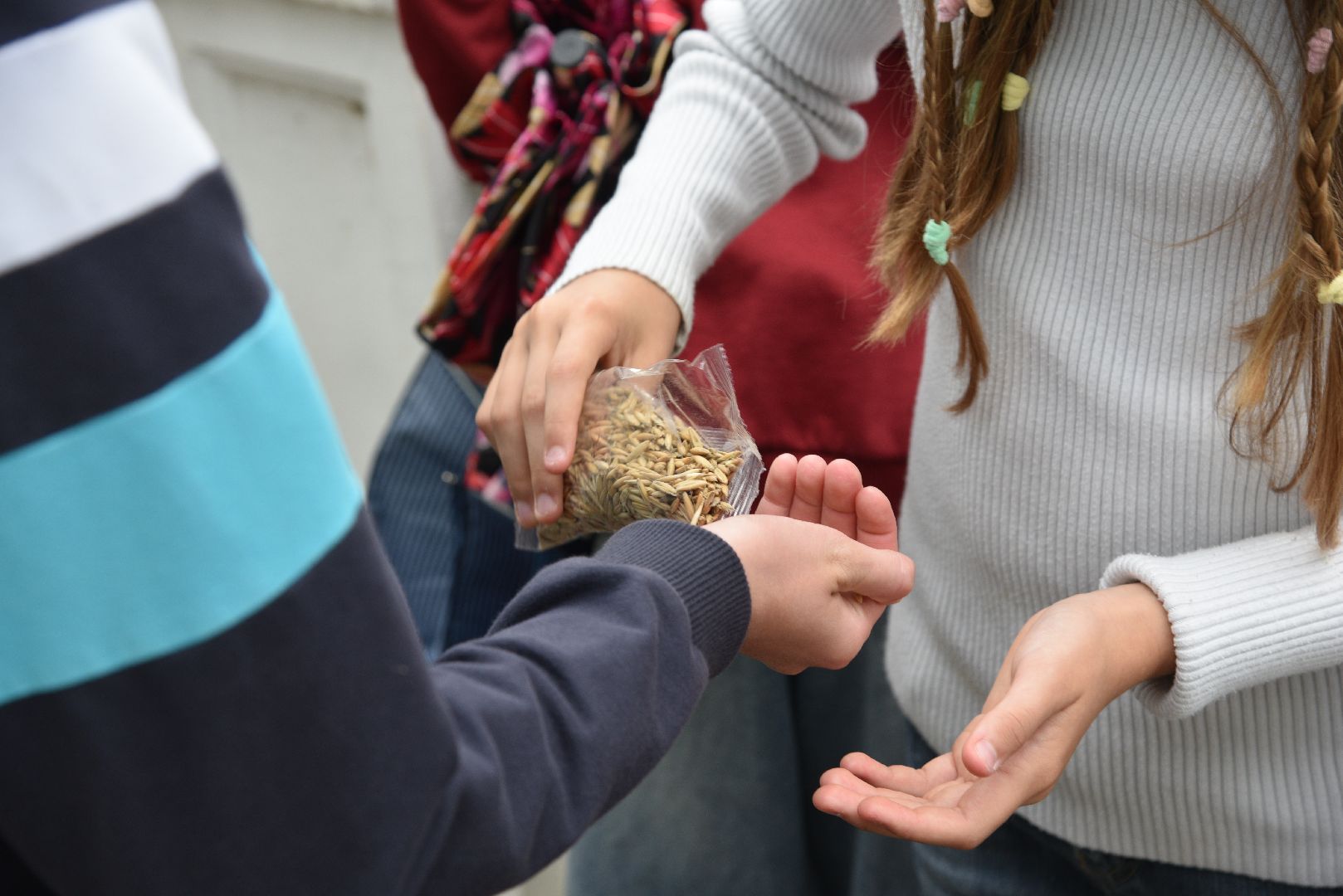 лотошино, лотошинская библиотека, лотошинский парк,