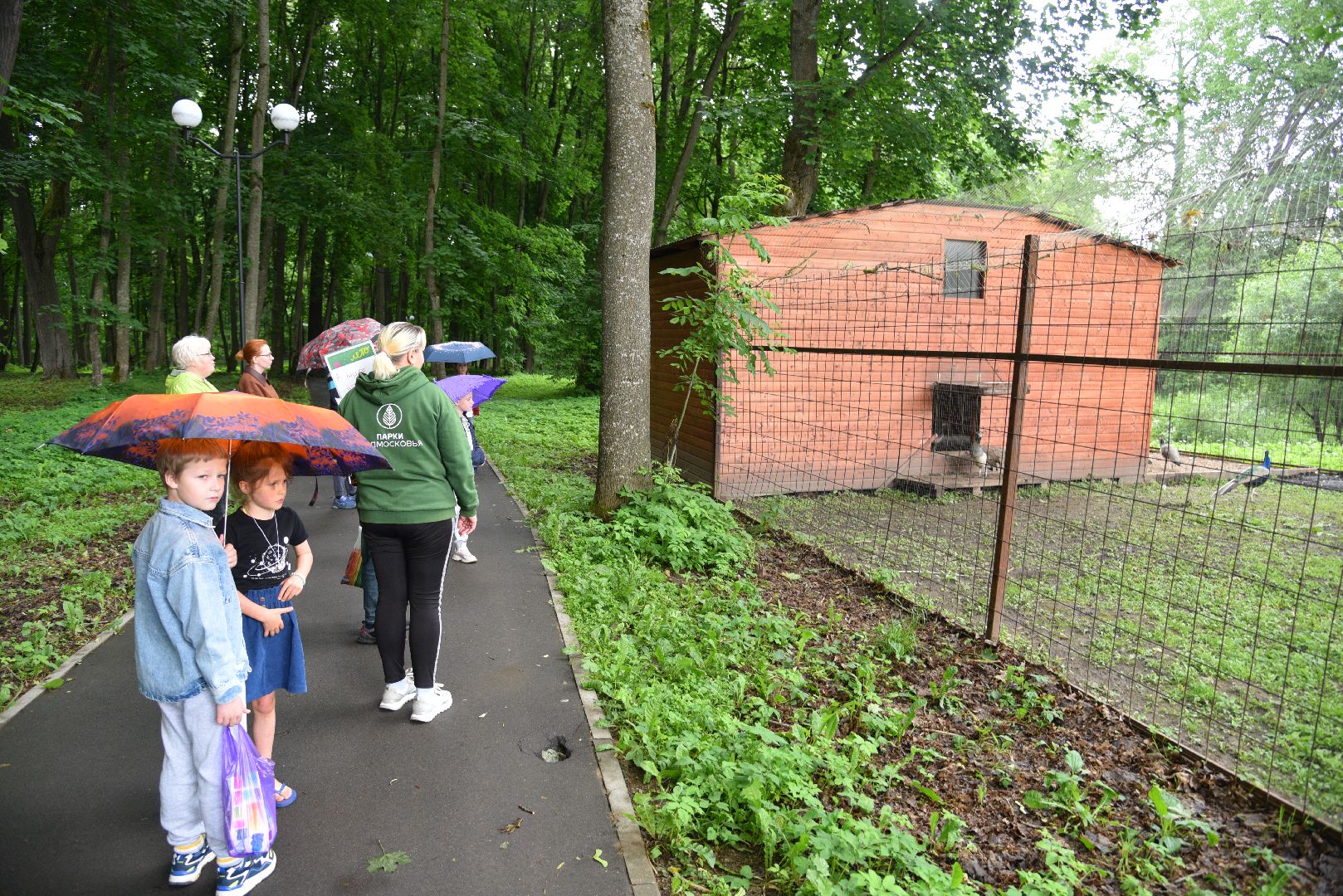 лотошино, лотошинская библиотека, лотошинский парк,