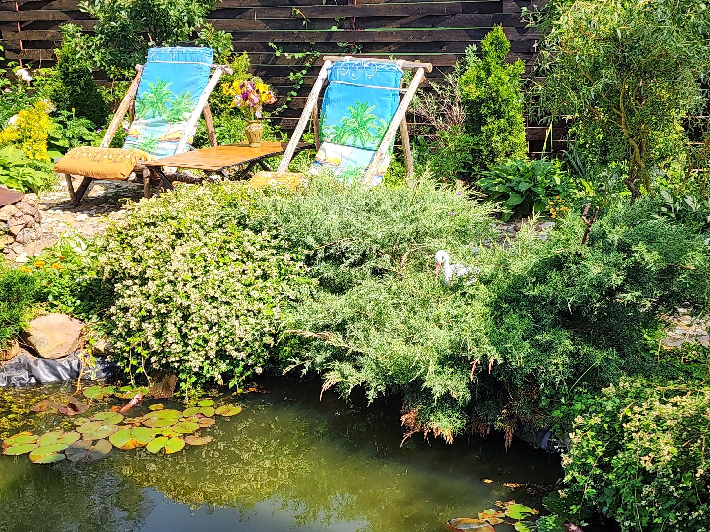 городской округ пушкинский, деревня лепешки, хвойники, ландшафтный дизайн, активное долголетие,