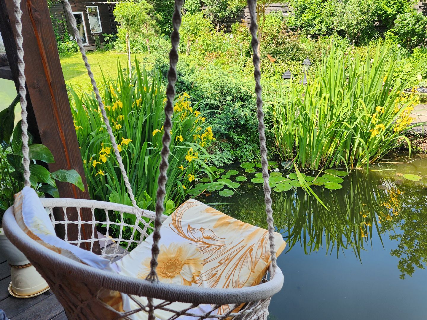 городской округ пушкинский, деревня лепешки, хвойники, ландшафтный дизайн, активное долголетие,