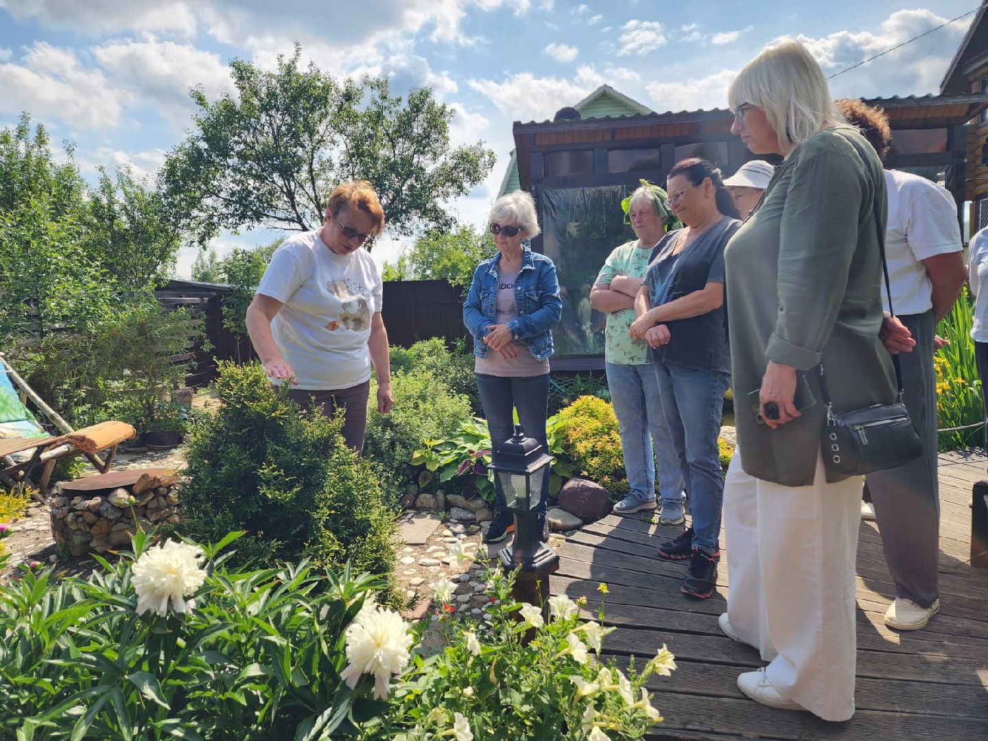 городской округ пушкинский, деревня лепешки, хвойники, ландшафтный дизайн, активное долголетие,