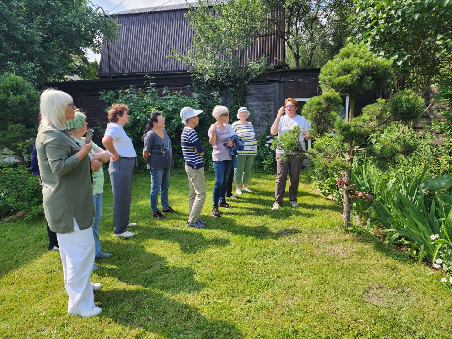 городской округ пушкинский, деревня лепешки, хвойники, ландшафтный дизайн, активное долголетие,