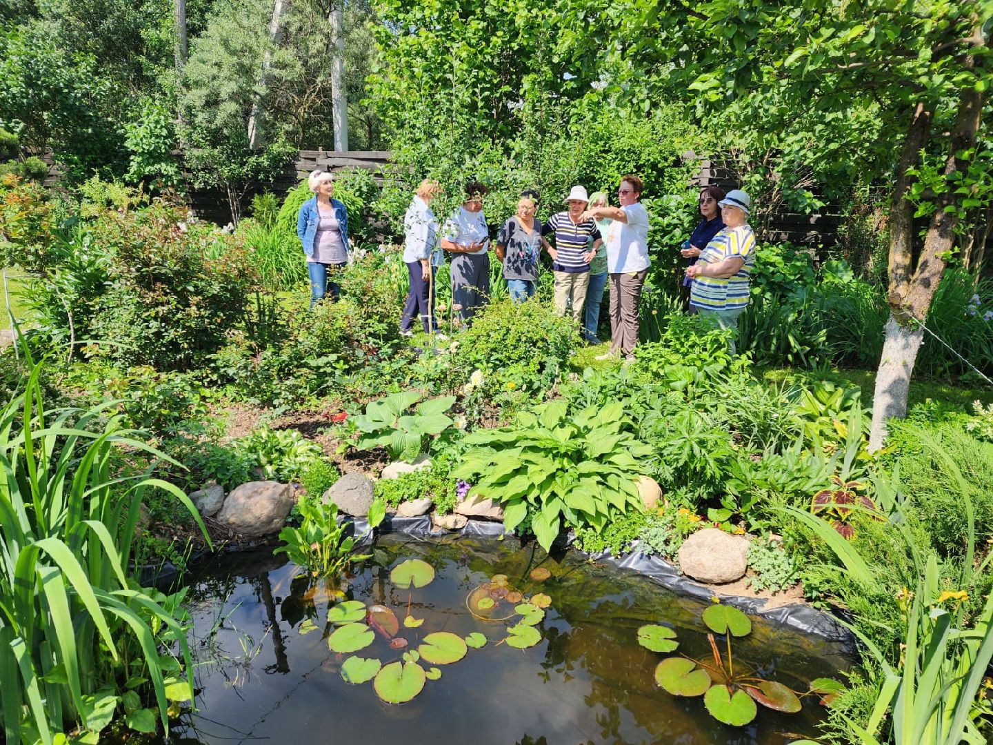 городской округ пушкинский, деревня лепешки, хвойники, ландшафтный дизайн, активное долголетие,