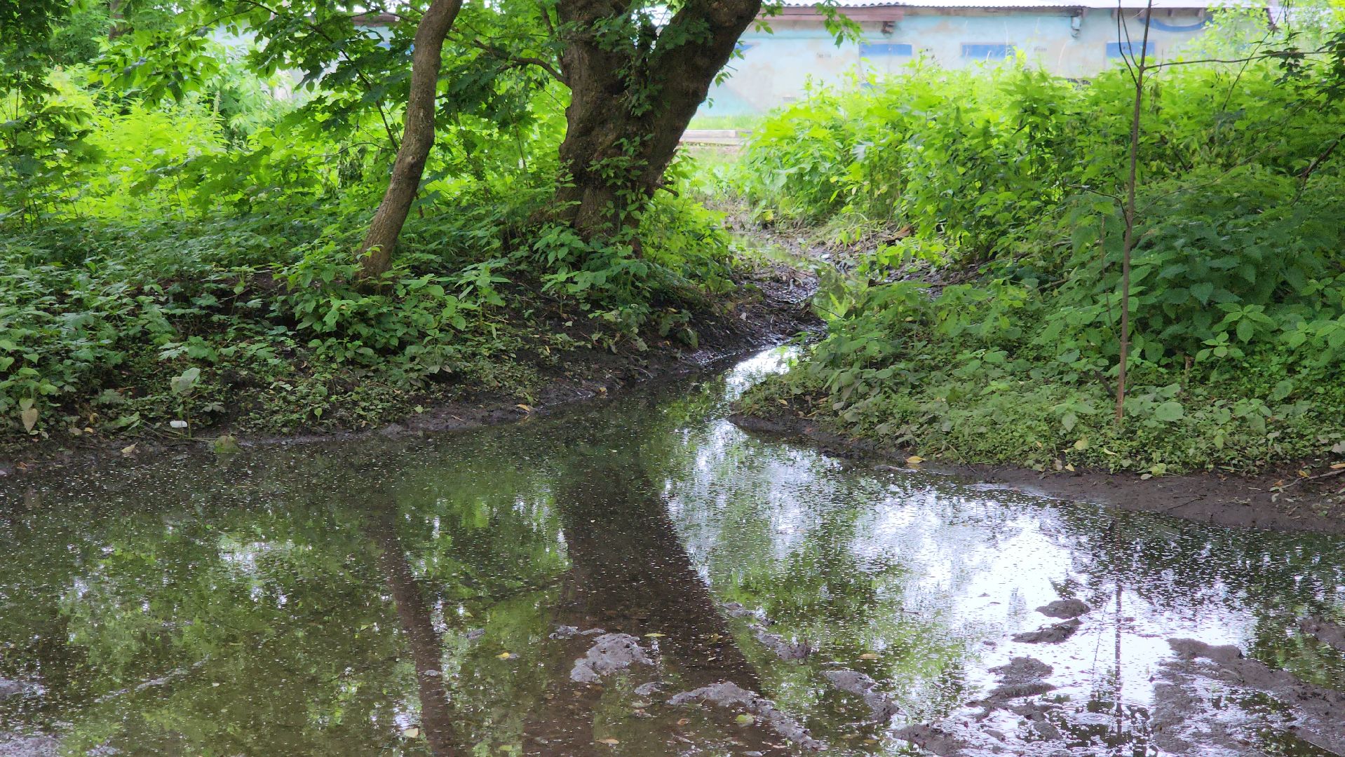 ливневая канализация, чкаловский, подтопление домов,