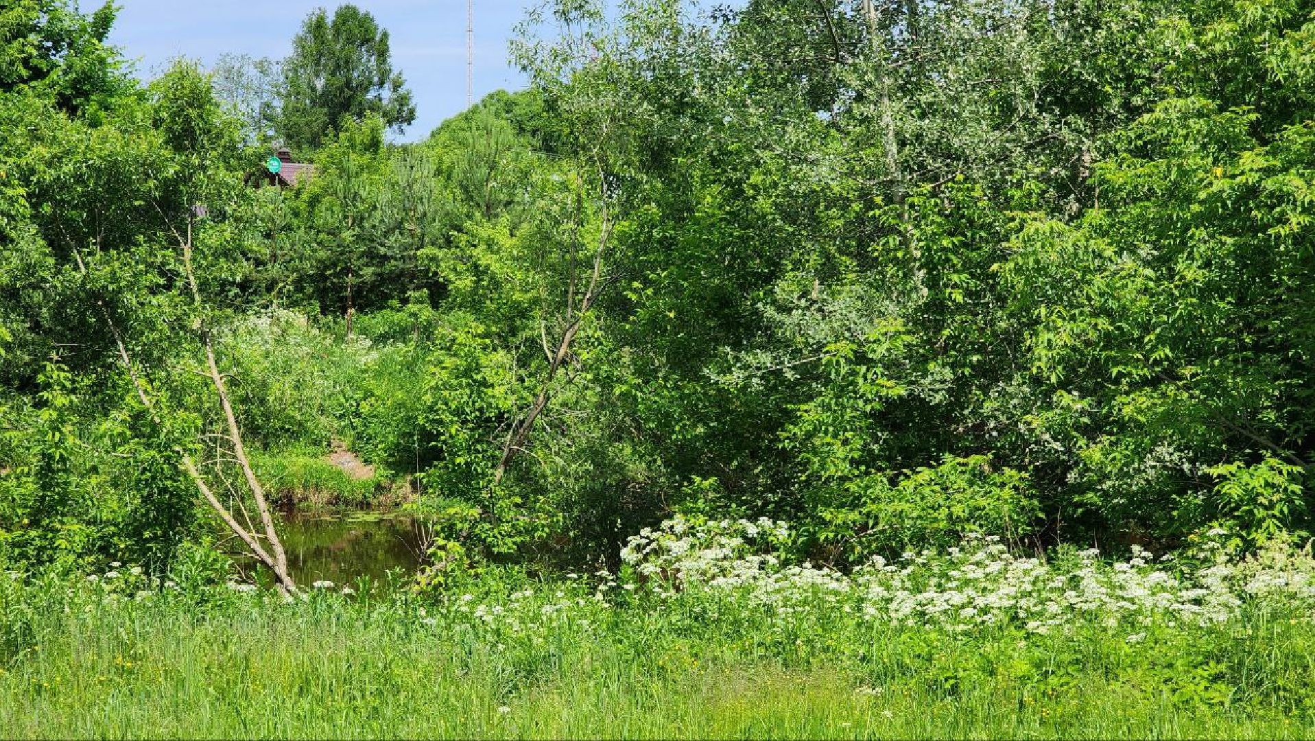 Талдом, Вербилки, Благоустройство, Минблаго,