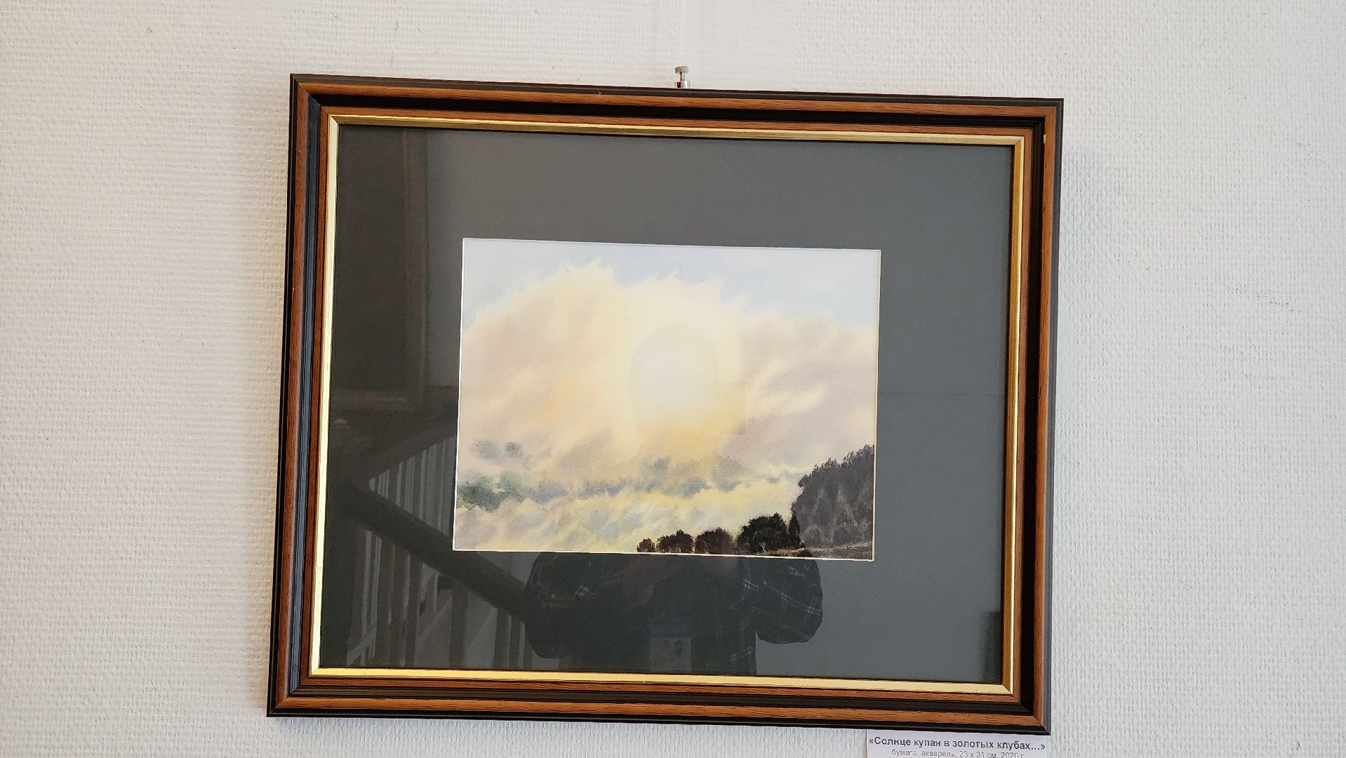 кашира, художественная выставка, краеведческий музей, картины, акварель , ока, пейзаж,