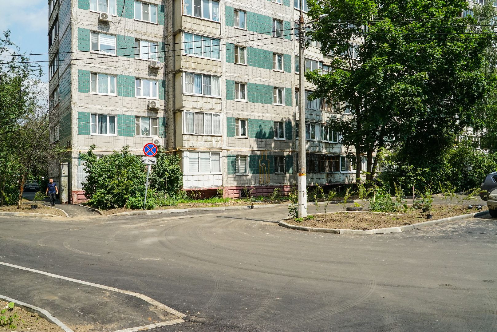 куст, озеленение, дворы,