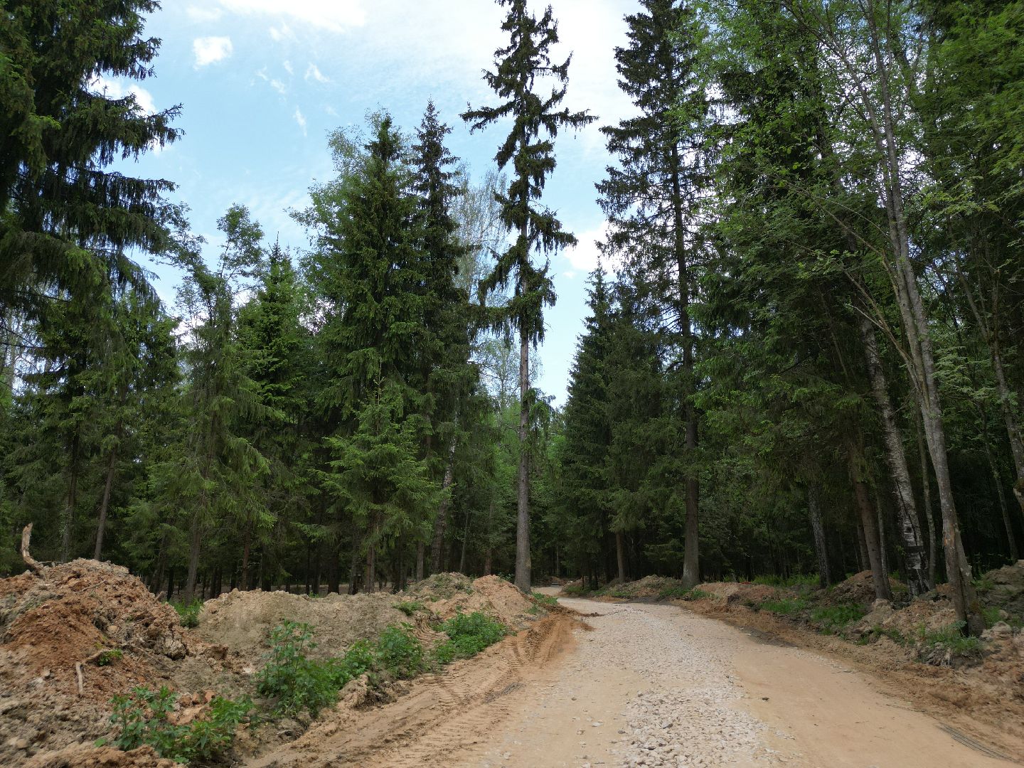 видео с коптера, лесопарк Соколка, благоустройство в истре,