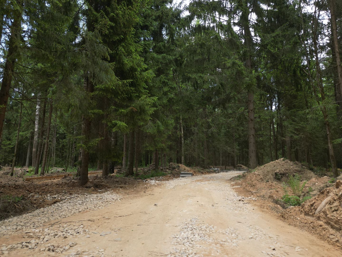 видео с коптера, лесопарк Соколка, благоустройство в истре,