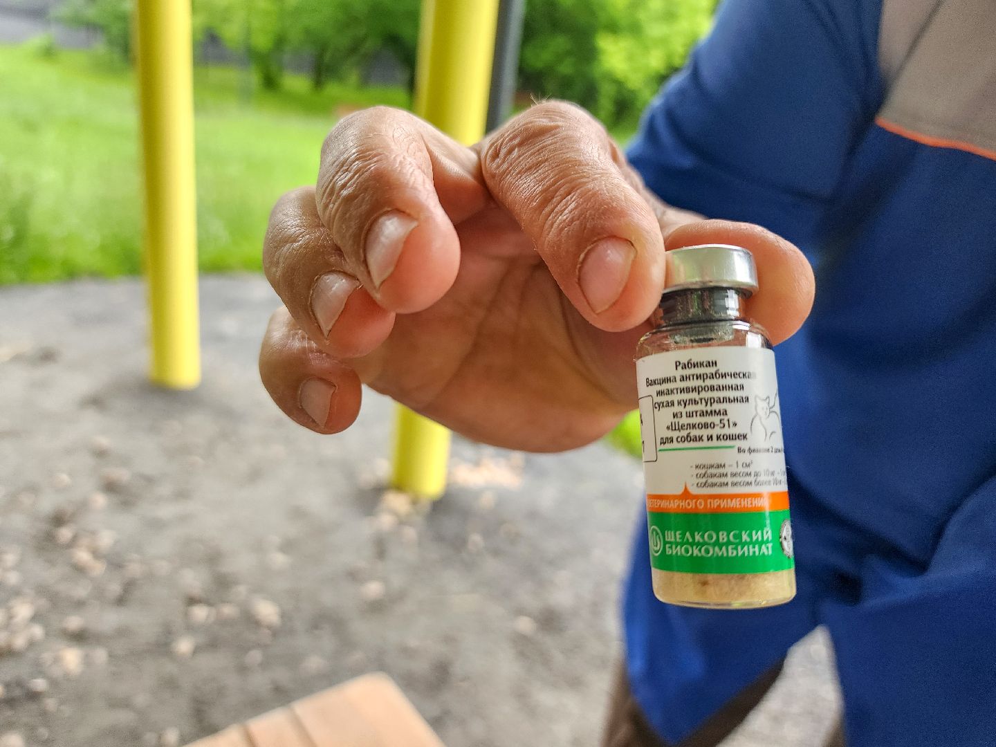 Подольск, чипирование домашних животных, вакцинация животных от бешенства, Парк Талалихина,