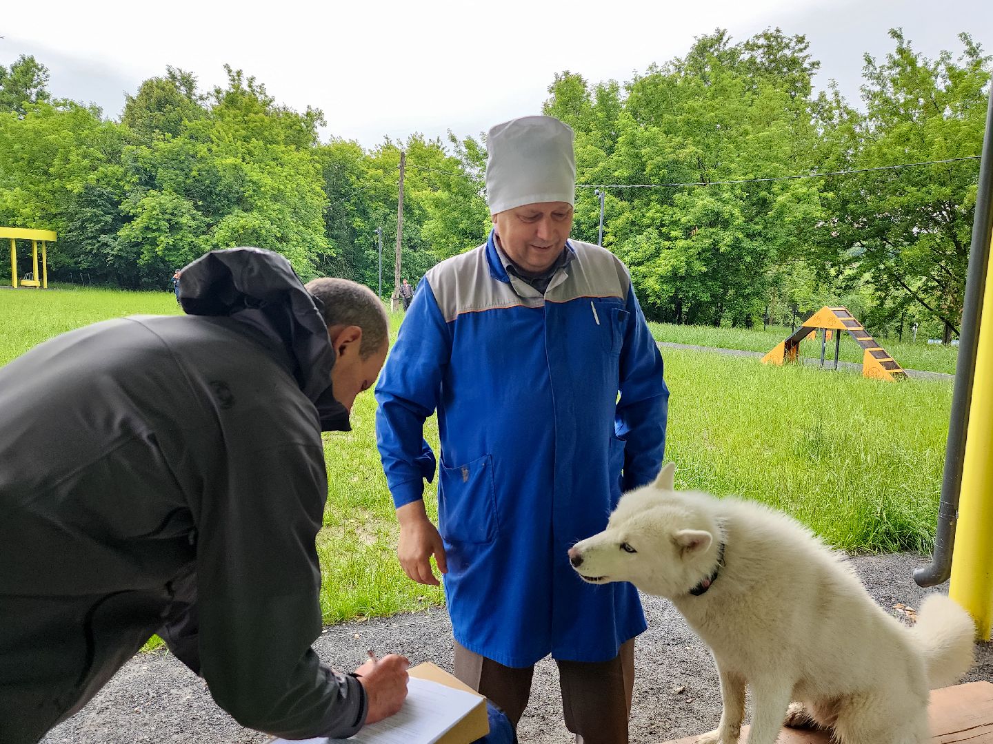 Подольск, чипирование домашних животных, вакцинация животных от бешенства, Парк Талалихина,