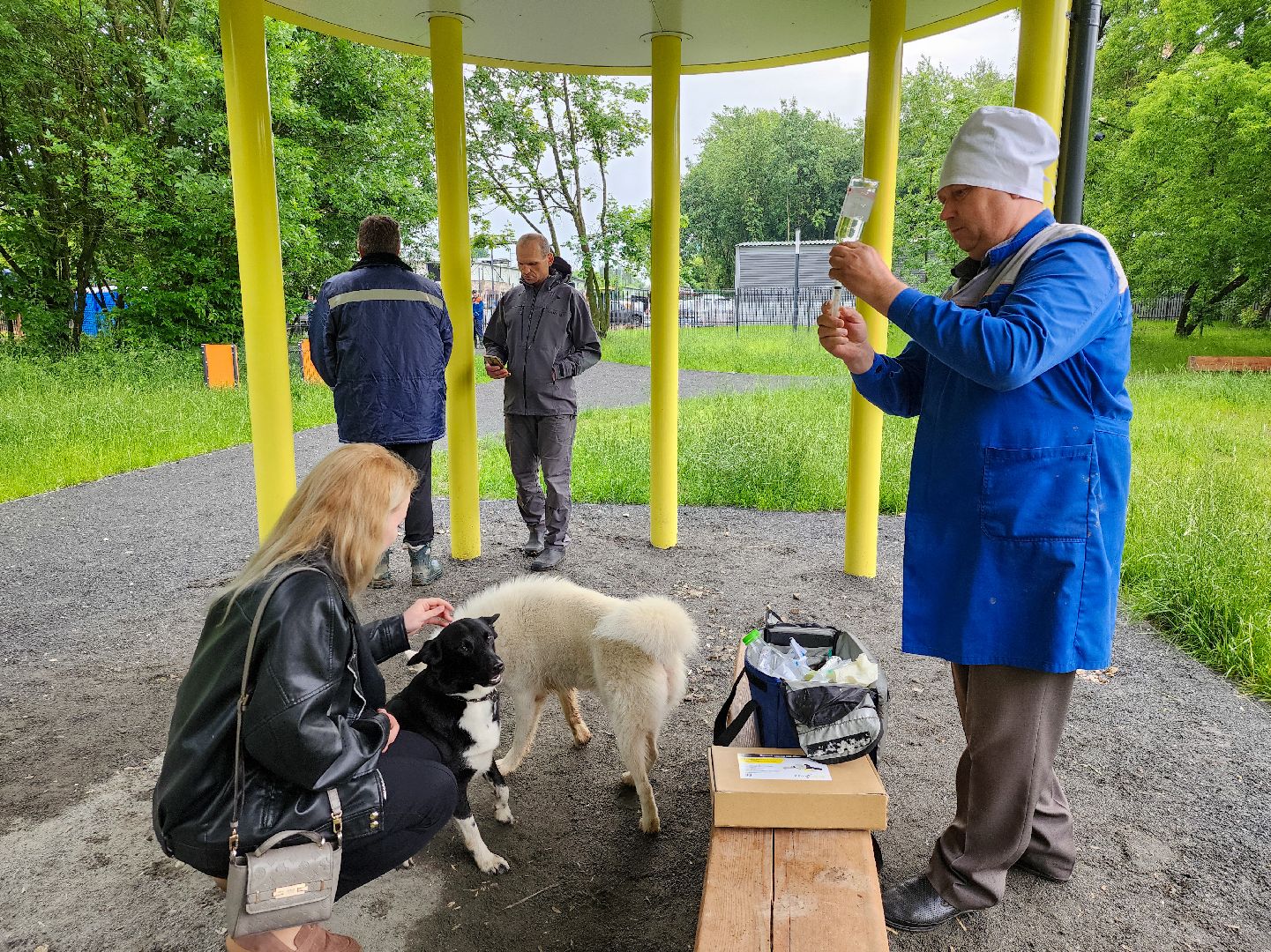 Подольск, чипирование домашних животных, вакцинация животных от бешенства, Парк Талалихина,