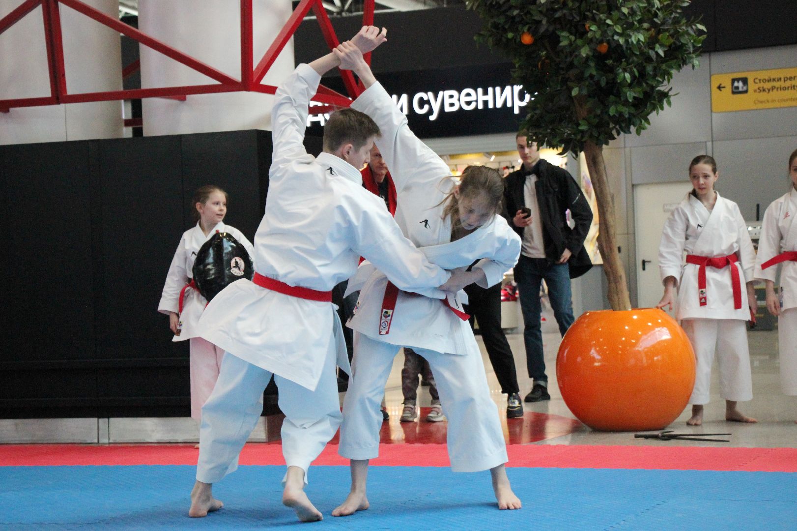 Лобня, спорт, каратэ