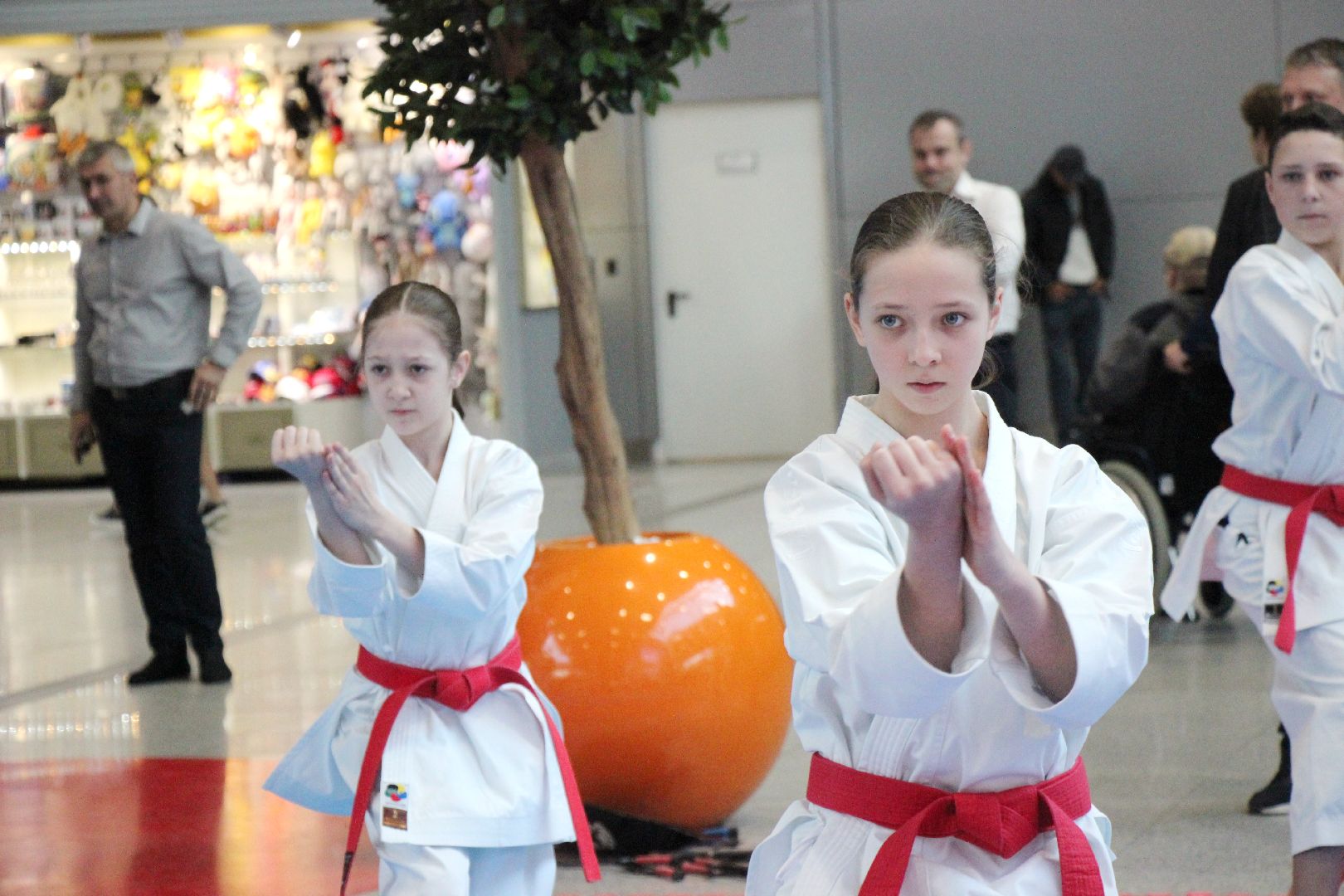 Лобня, спорт, каратэ