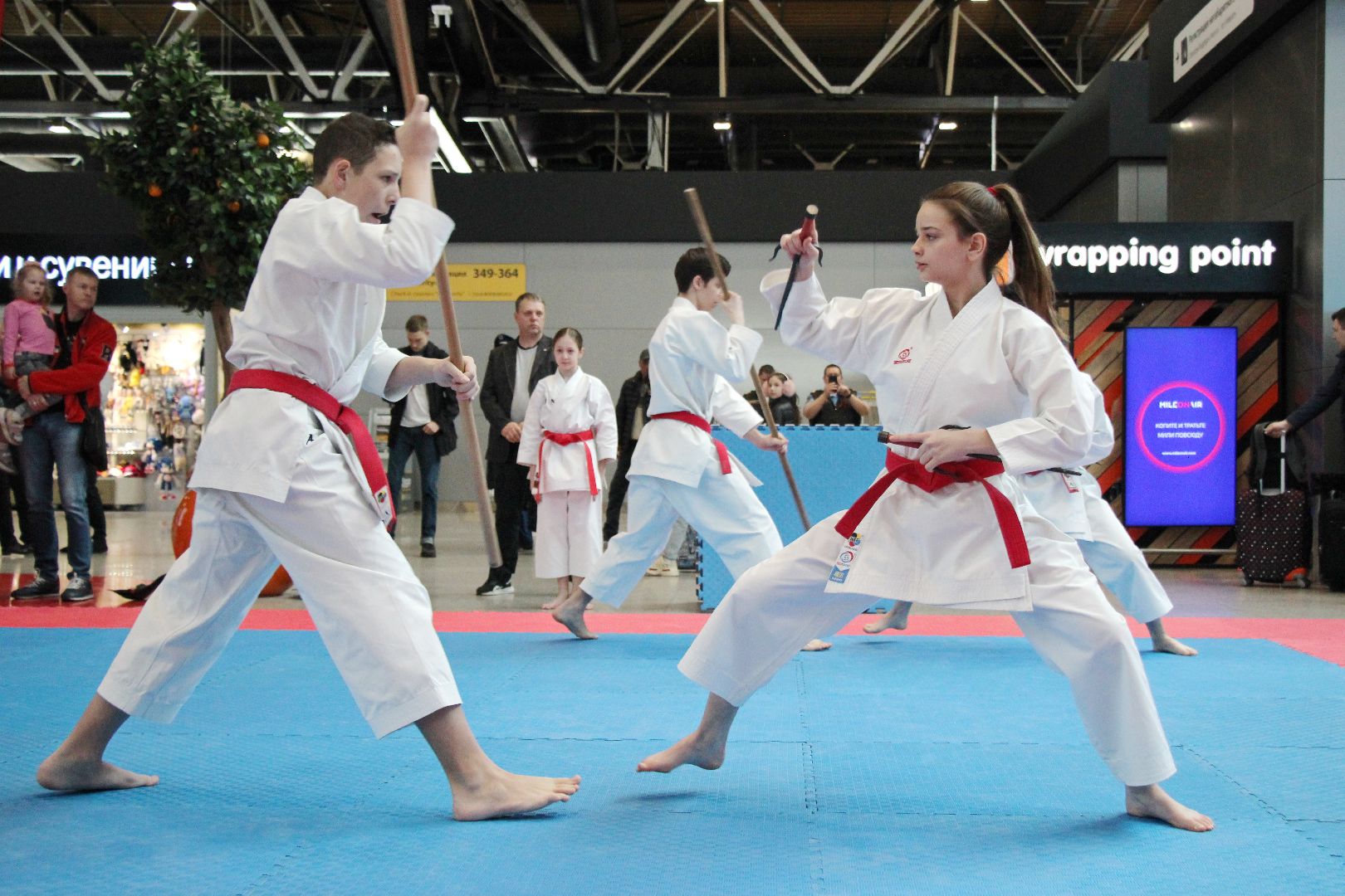 Лобня, спорт, каратэ