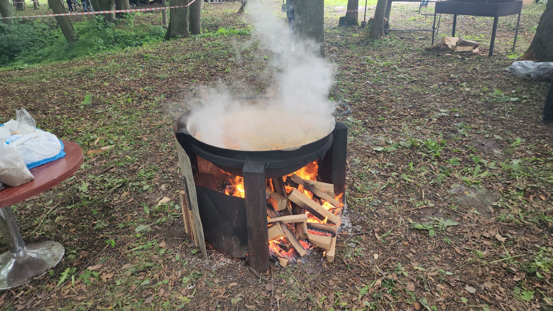 серпухов, деревня прончищево, поселок пролетарский, волонтеры сво, клубничный фест,