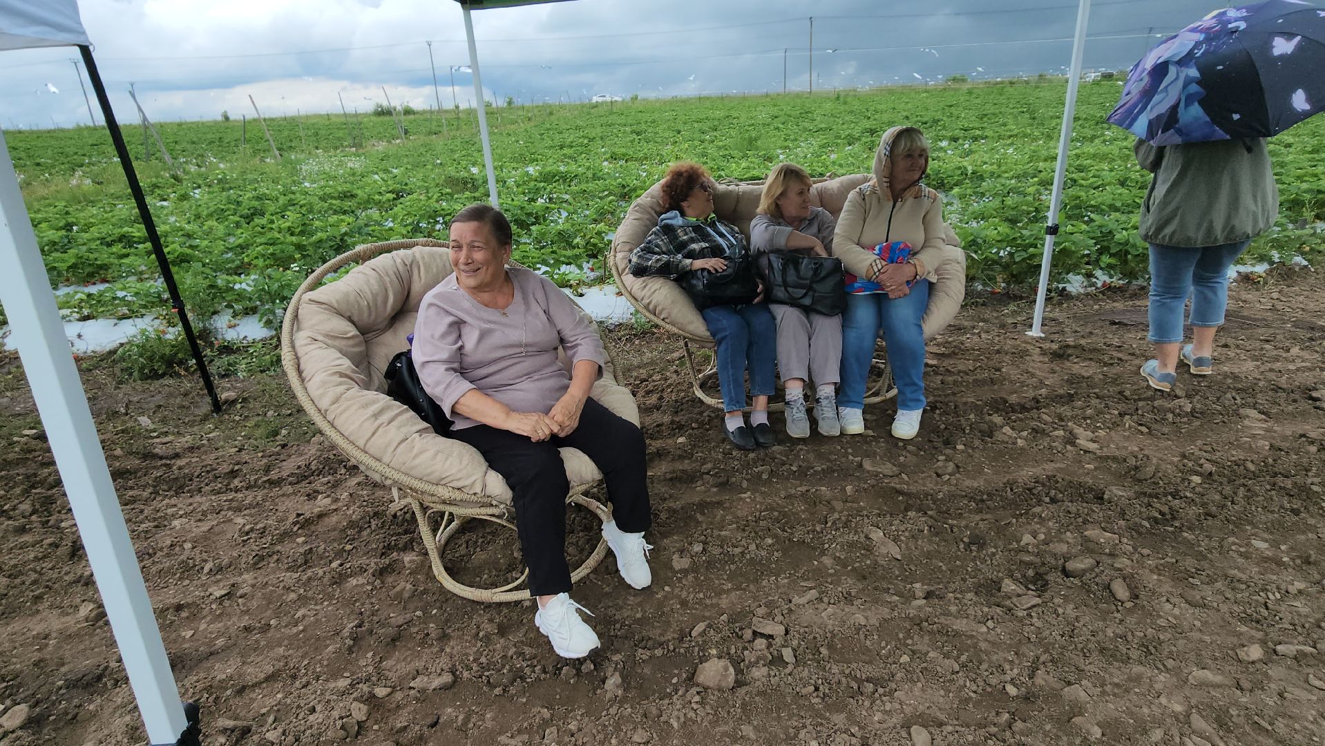 серпухов, деревня прончищево, поселок пролетарский, волонтеры сво, клубничный фест,