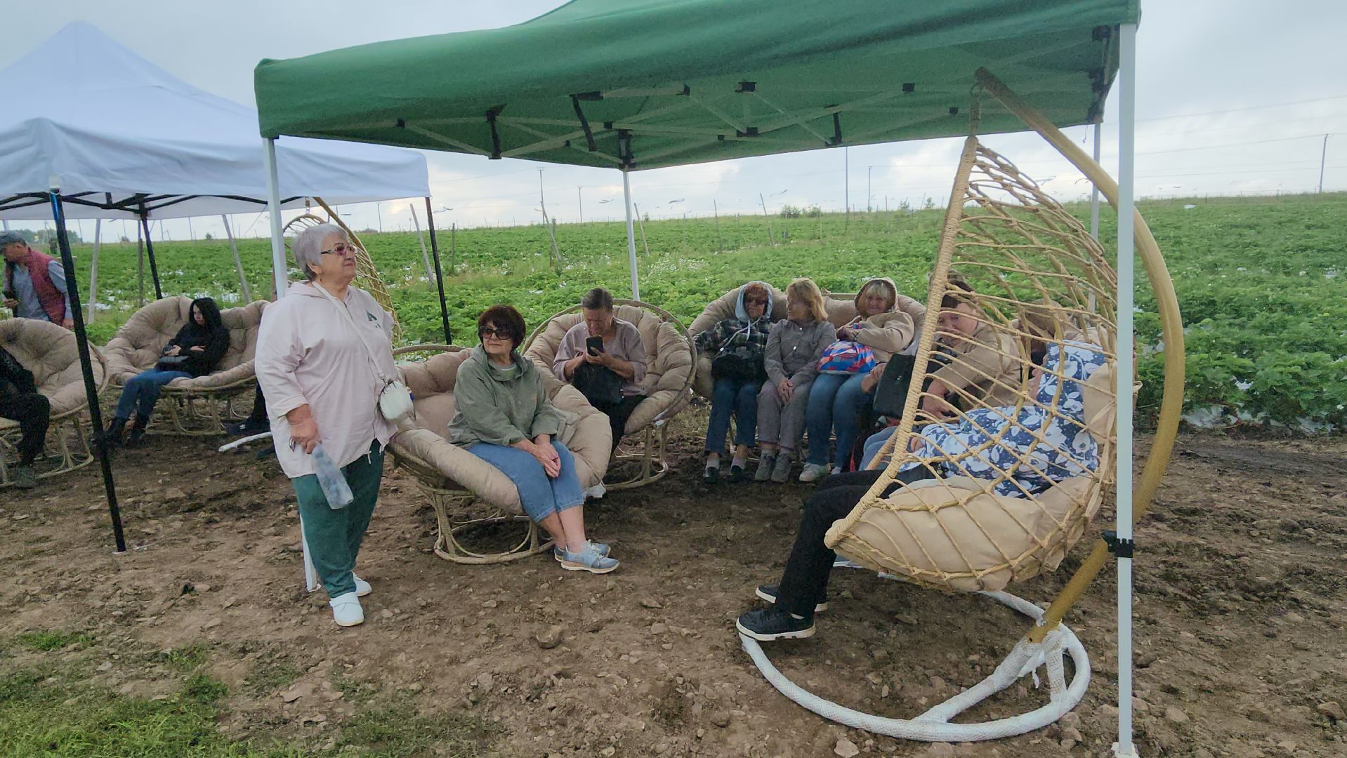 серпухов, деревня прончищево, поселок пролетарский, волонтеры сво, клубничный фест,