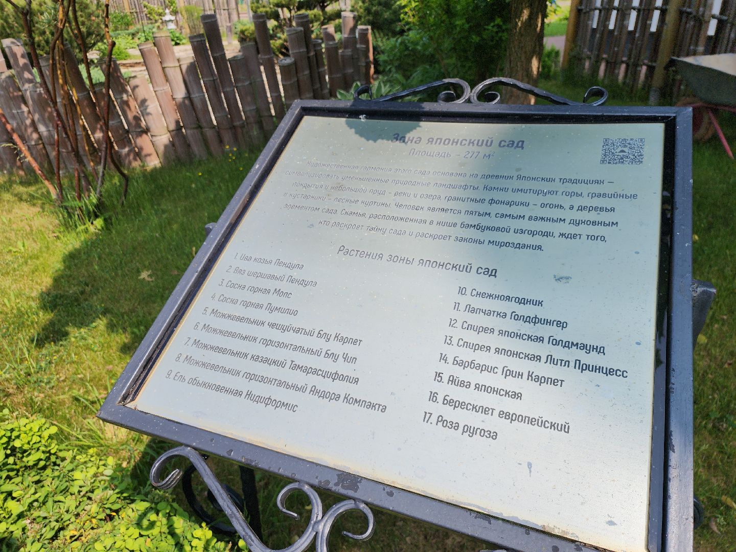 серпухов, подмосковье, японский сад, питомник южный,