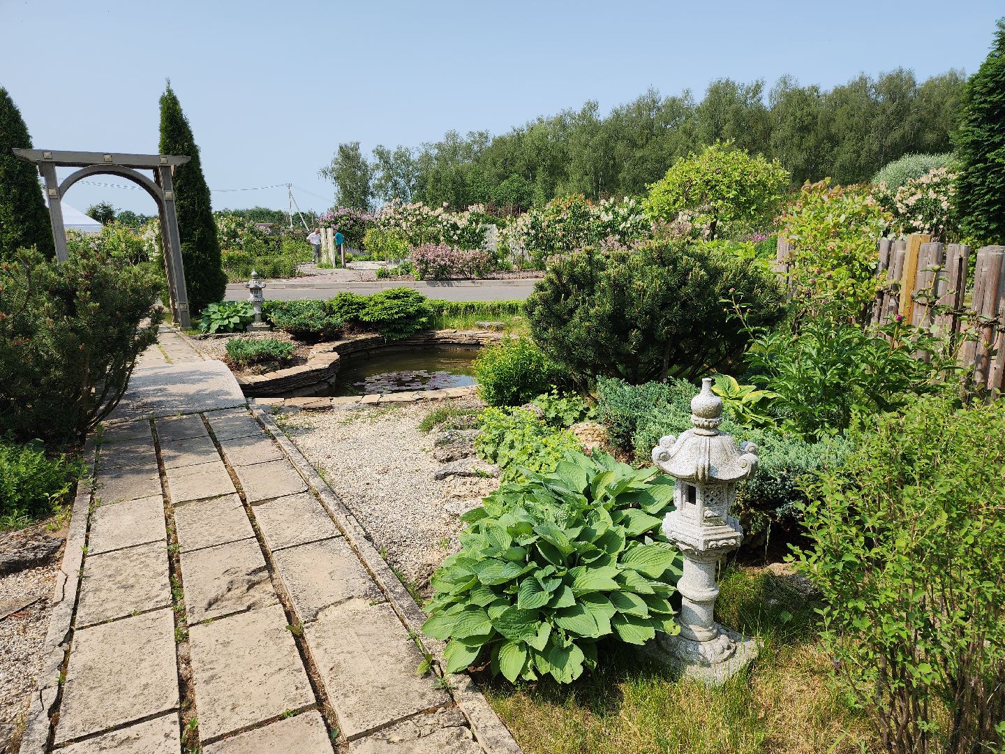 серпухов, подмосковье, японский сад, питомник южный,