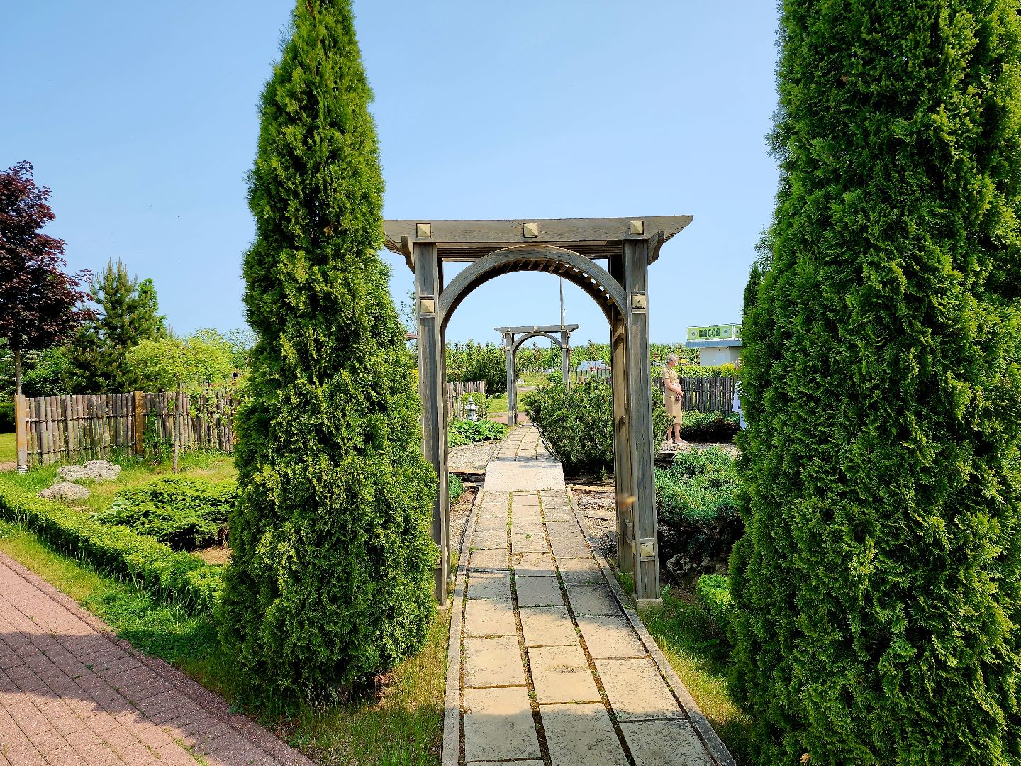 серпухов, подмосковье, японский сад, питомник южный,