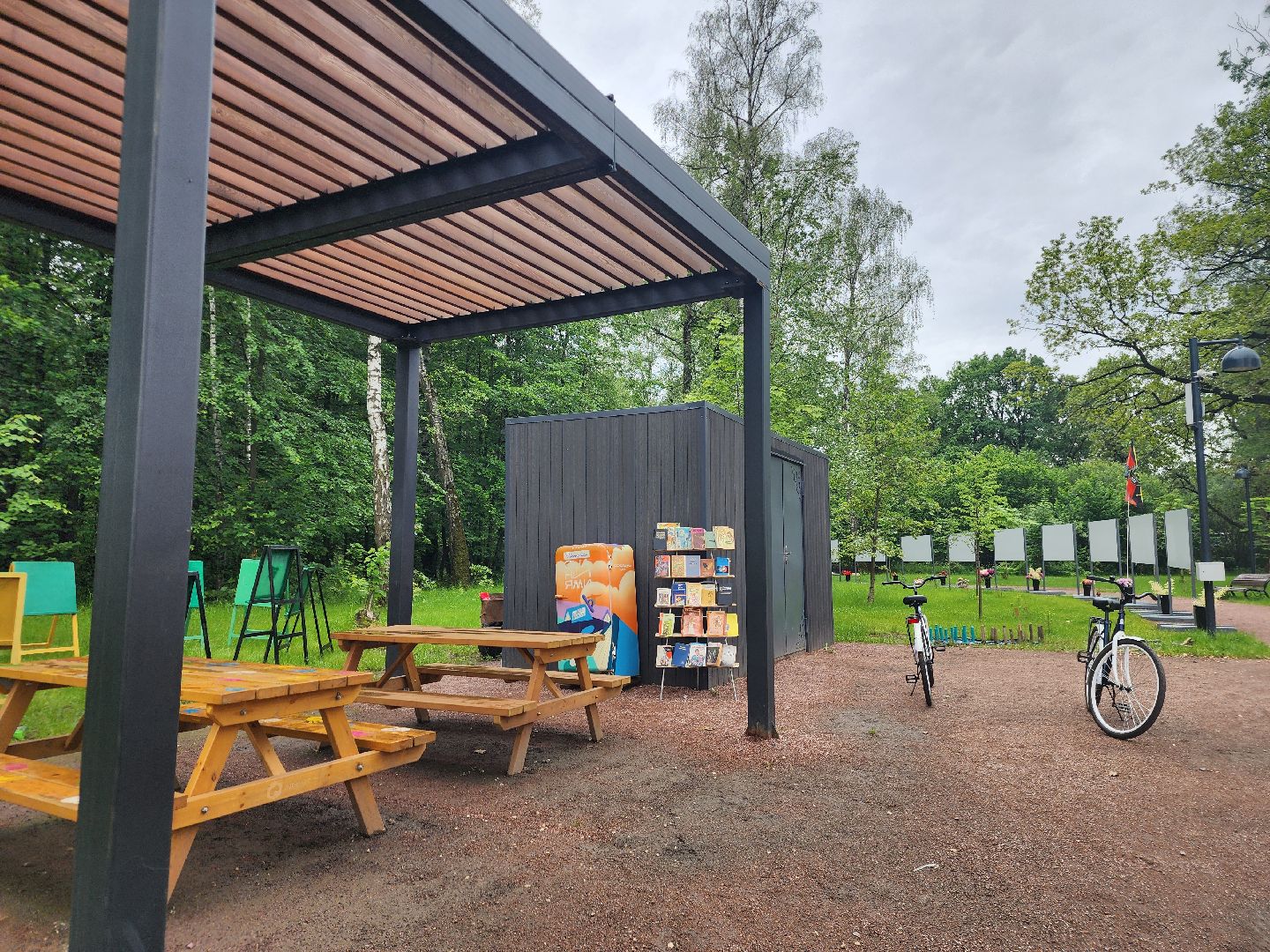 фрязино, буккроссинг, лесопарк, книги,