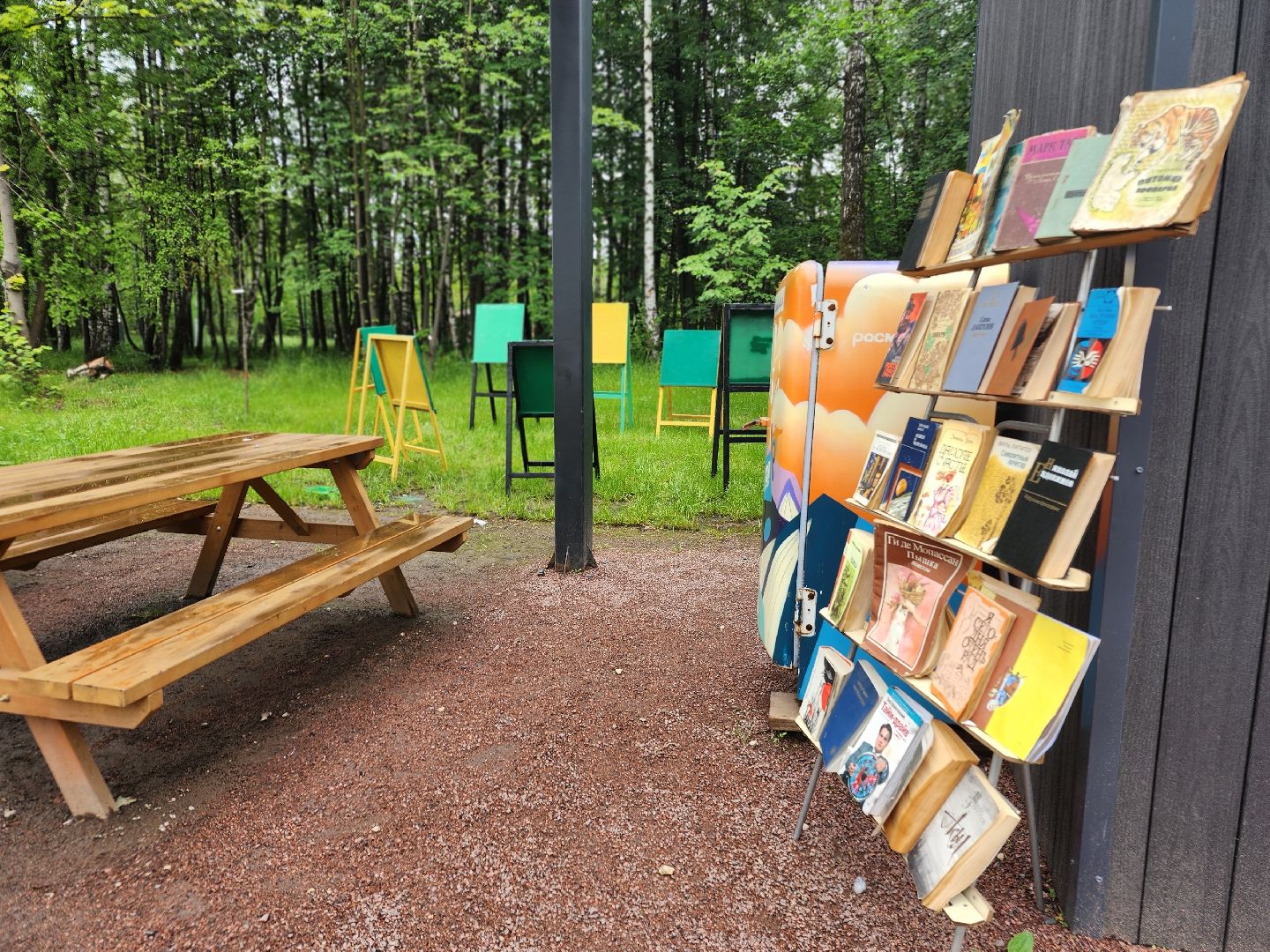 фрязино, буккроссинг, лесопарк, книги,