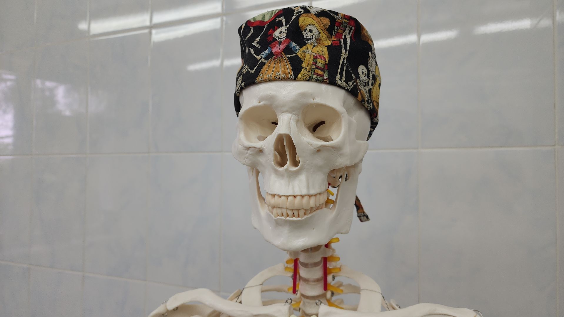 красногорск, медицина, отделение лечения боли,