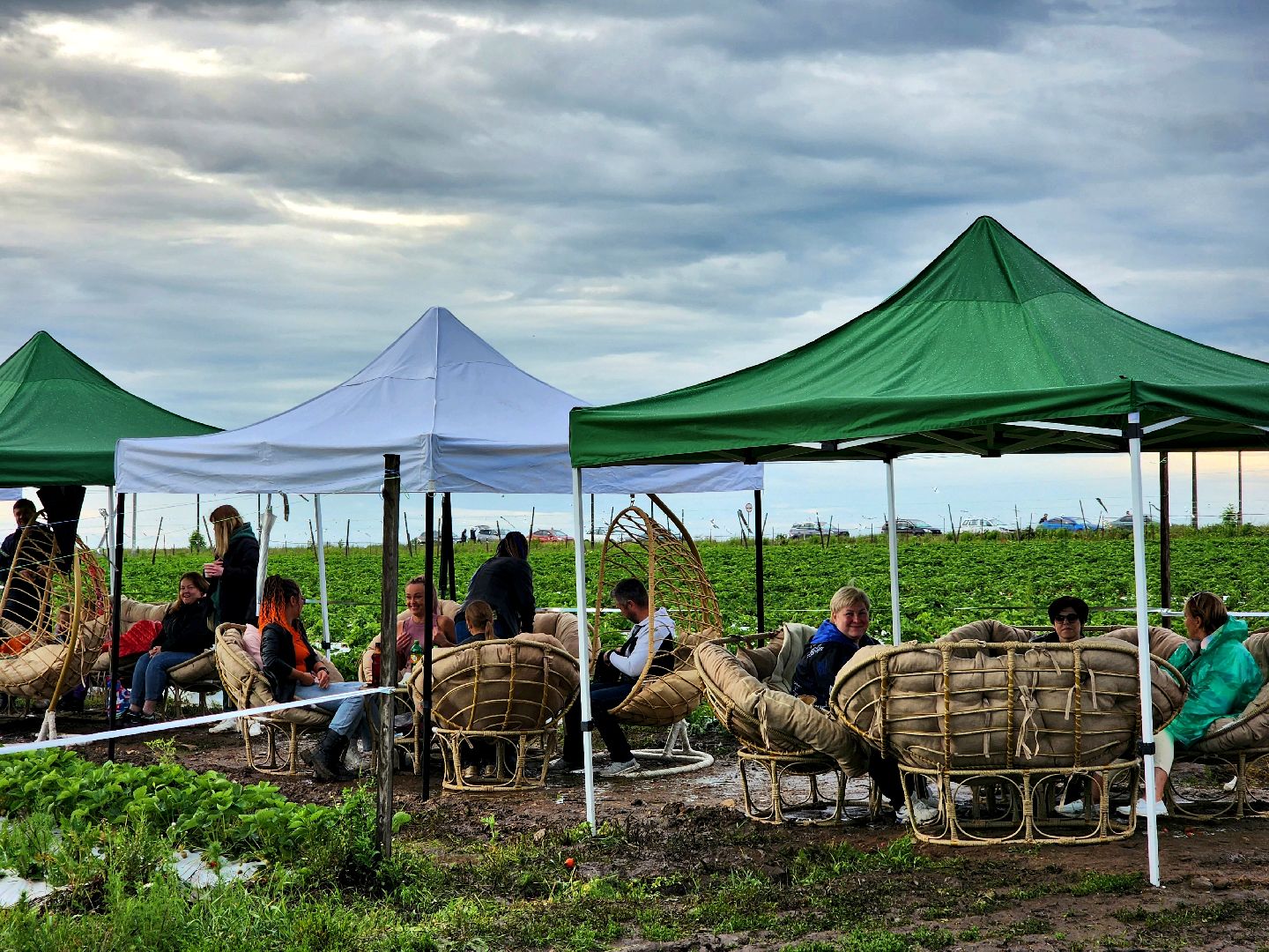 пущино, серпухов, лето в подмосковье, фестиваль , агротуризм,