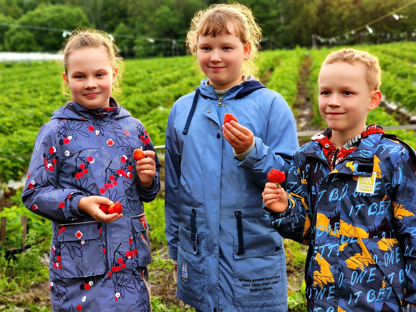 пущино, серпухов, лето в подмосковье, фестиваль , агротуризм,