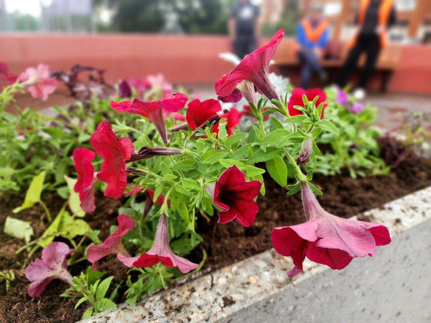 пущино, серпухов, благоустройство,