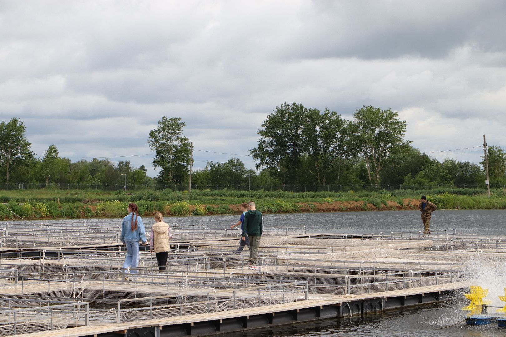 осетровое хозяйство в серебряных прудах, экскурсия, школьники, серебряные пруды,