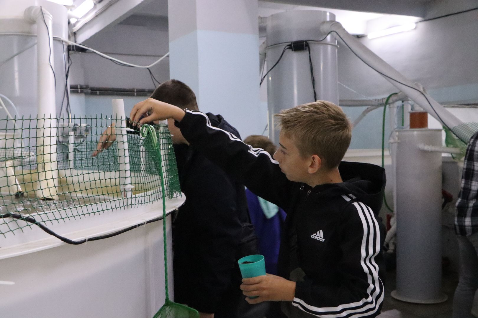 осетровое хозяйство в серебряных прудах, экскурсия, школьники, серебряные пруды,