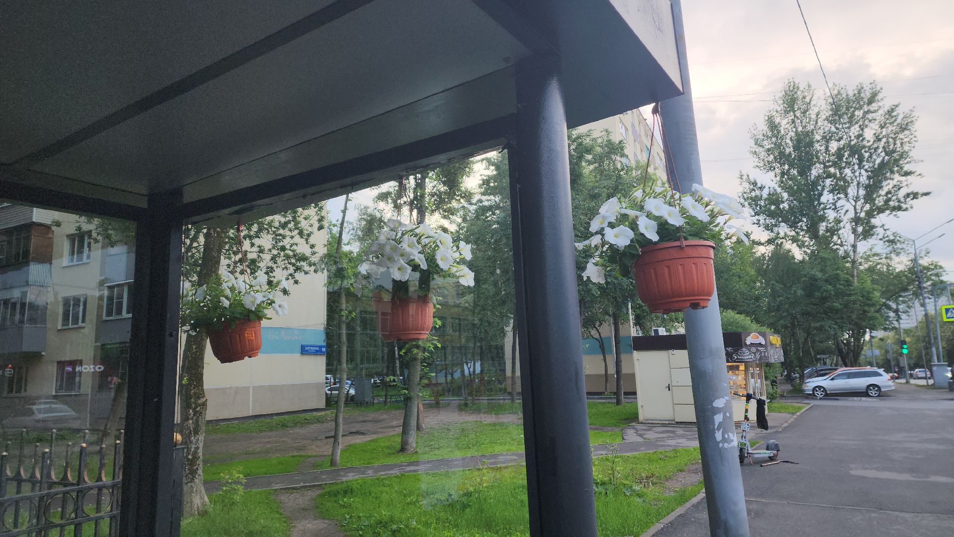 вертикалки, пушкино, цветы, остановки, общественный транспорт,благоустройство,кашпо,