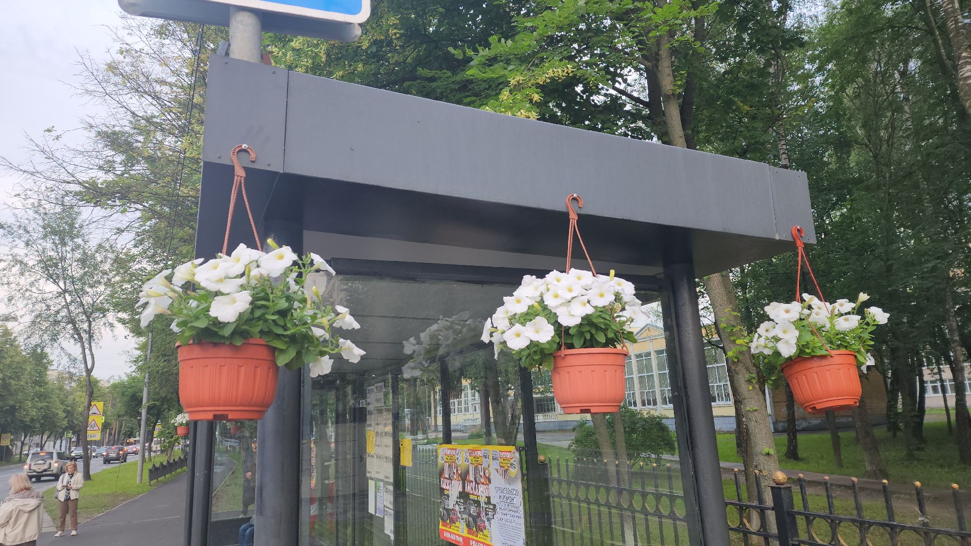 вертикалки, пушкино, цветы, остановки, общественный транспорт,благоустройство,кашпо,