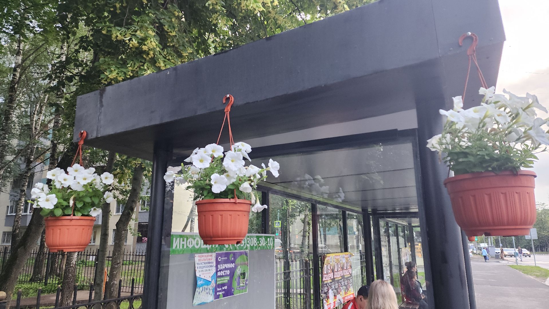 вертикалки, пушкино, цветы, остановки, общественный транспорт,благоустройство,кашпо,