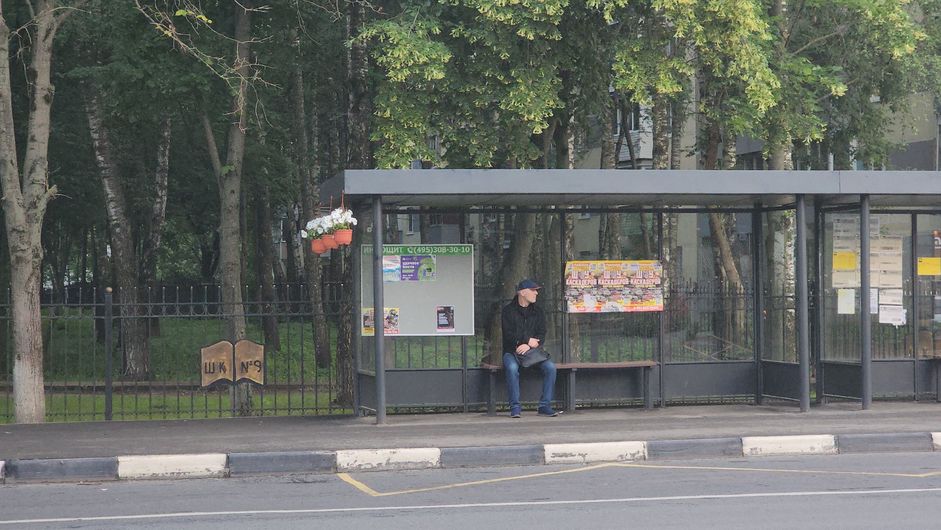 вертикалки, пушкино, цветы, остановки, общественный транспорт,благоустройство,кашпо,