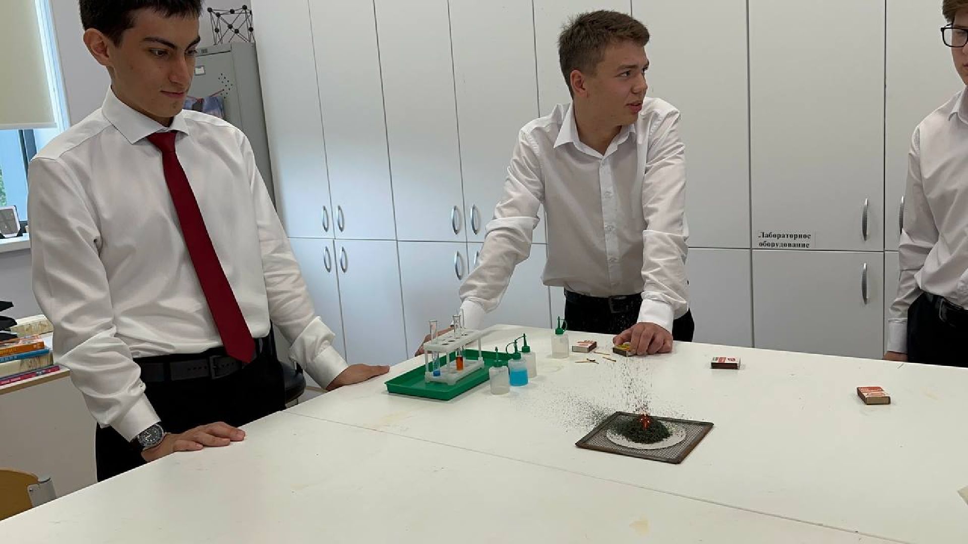 егэ, домодедово,