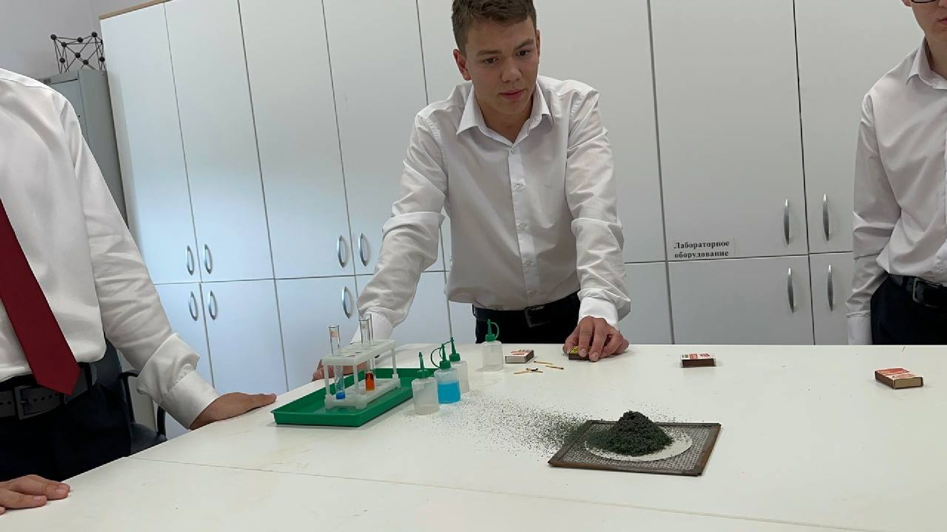 егэ, домодедово,