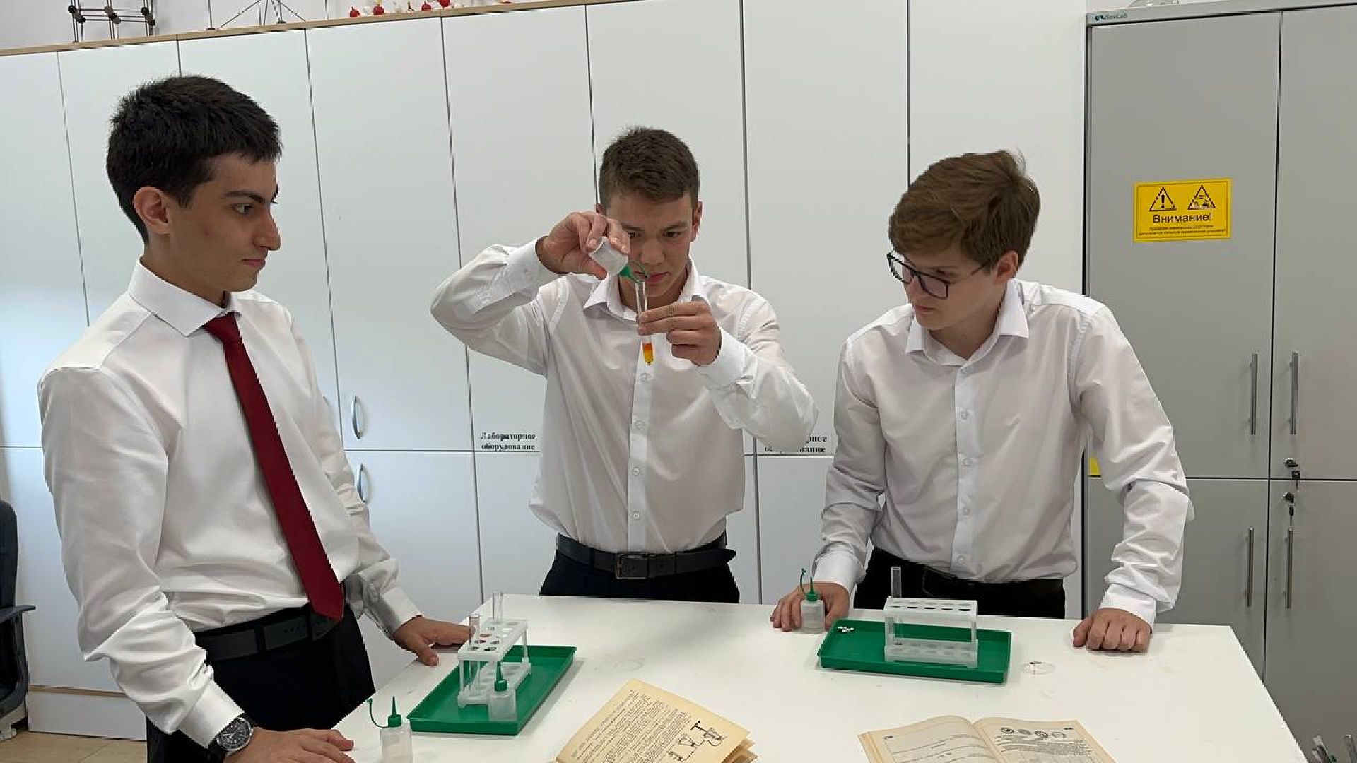 егэ, домодедово,