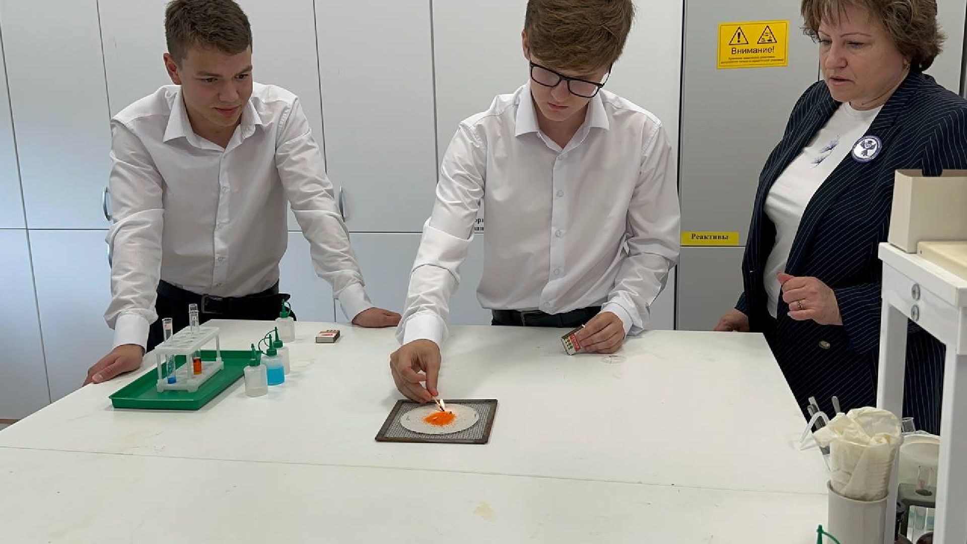 егэ, домодедово,