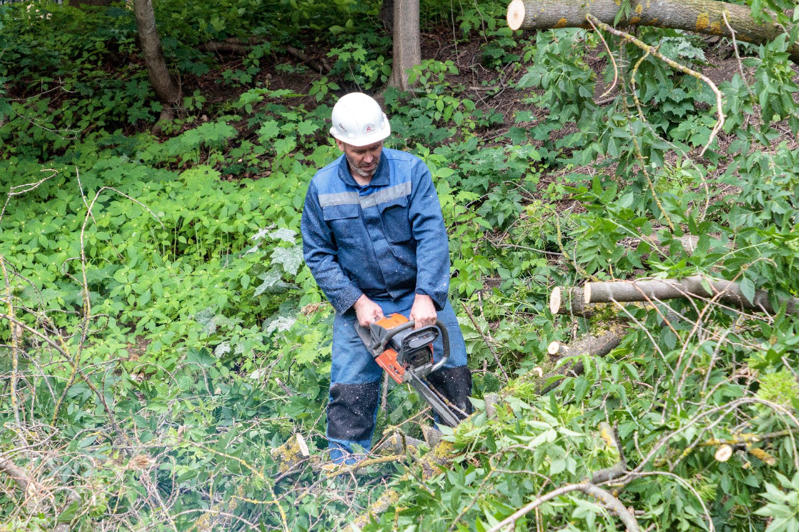 благоустройство, сквер чернышева, лыткарино, парки,