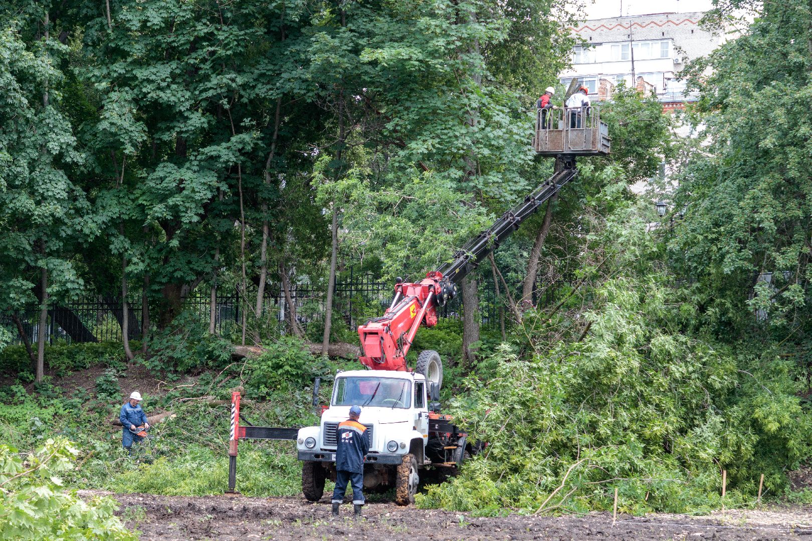благоустройство, сквер чернышева, лыткарино, парки,